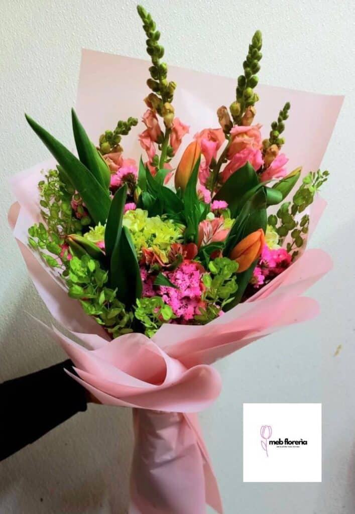 Hermoso bouquet de 10 tulipanes,hortensias y perritos